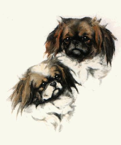 Pekinese Twins Restrike Etching