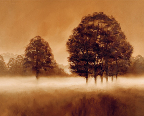 Misty Morning by Alan Parker Misty Morning by Alan Parker