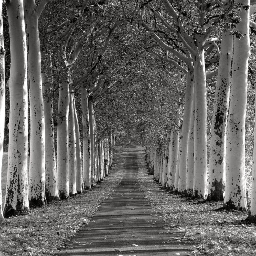 Epernay France by Charlie Waite