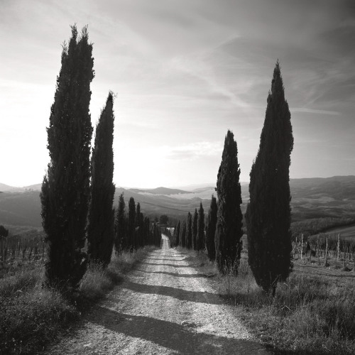 Mensano Tuscany by Charlie Waite