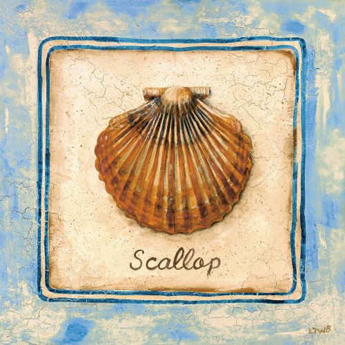 Scallop by Sylvan Lake Collections