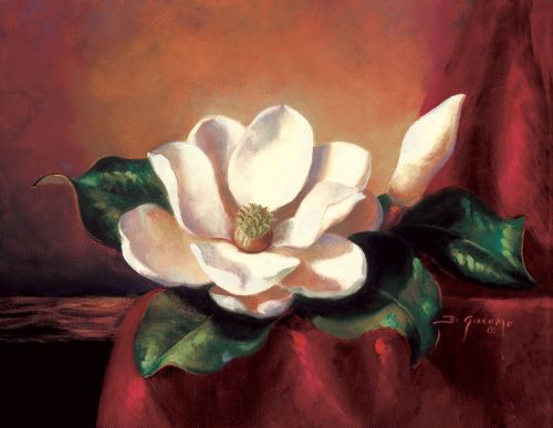 Magnolia Vignette l by Fran Di Giacomo