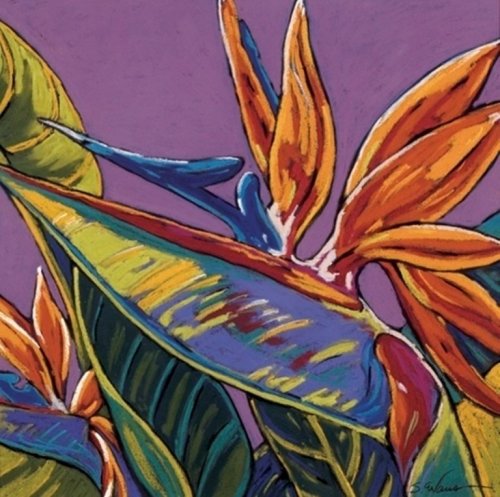 Birds of Paradise Purple by Sally Evans