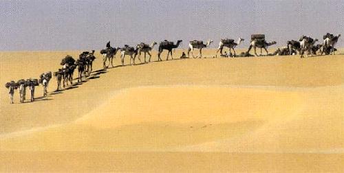 Caravane de Sel, Tenere, Niger