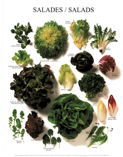 Salads by Atelier