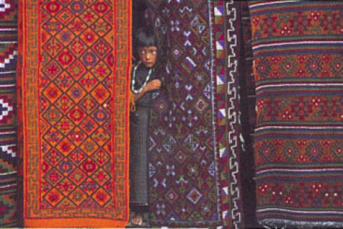 Amongst the Precious Wools of Bhutan by Oliver Follmi image