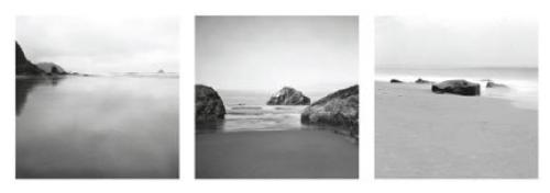 Beaches by Steven N Meyers