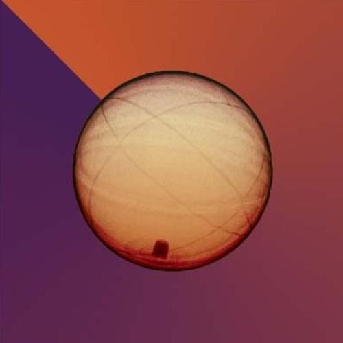 Basketball by Steven N Meyers