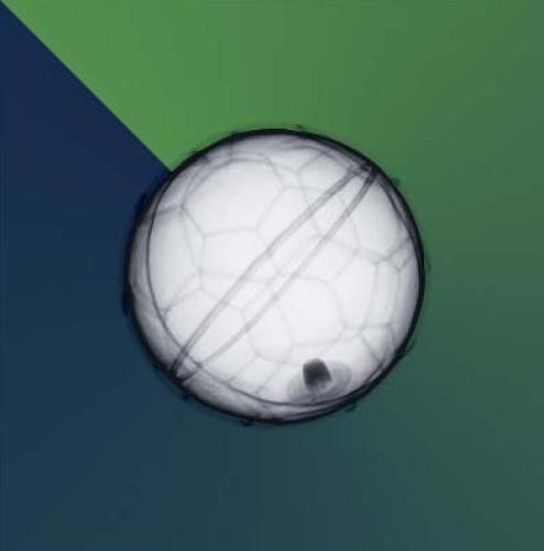 Soccerball by Steven N Meyers