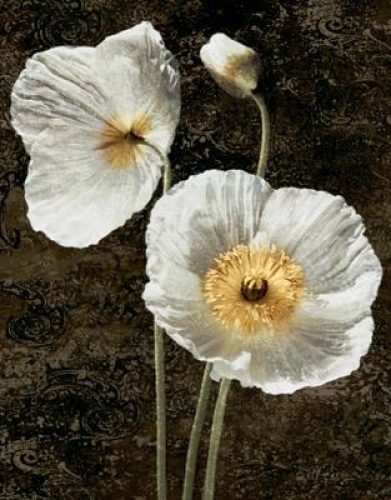 Poppies I by John Seba
