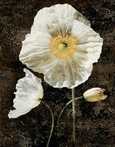 Poppies II by John Seba