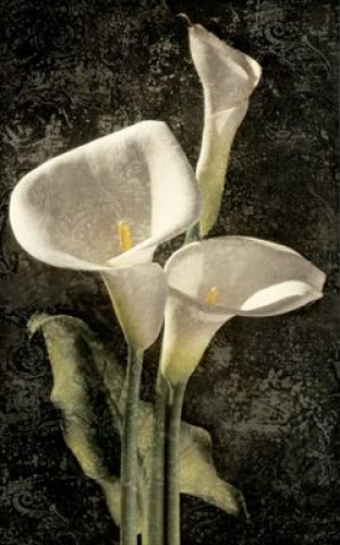 Callas I by John Seba