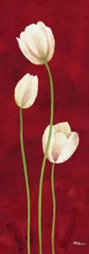 Danza di tulipani by Maria Grazia Luffarelli