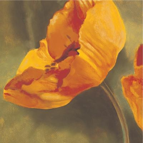 Coquelicots dans le soleil I by Pierre Viollet