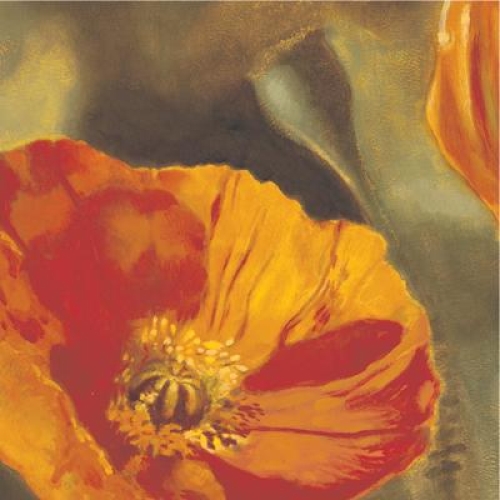 Coquelicots dans le soleil II by Pierre Viollet