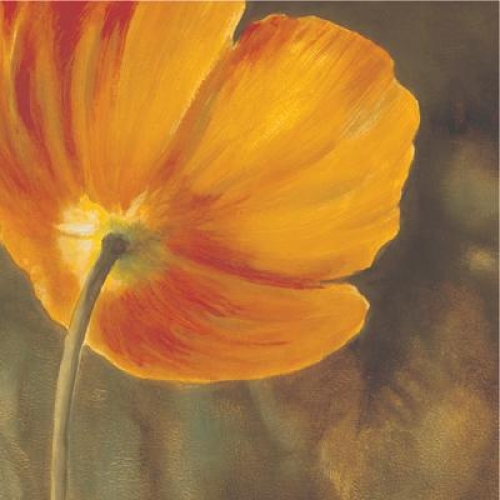 Coquelicots dans le soleil III by Pierre Viollet