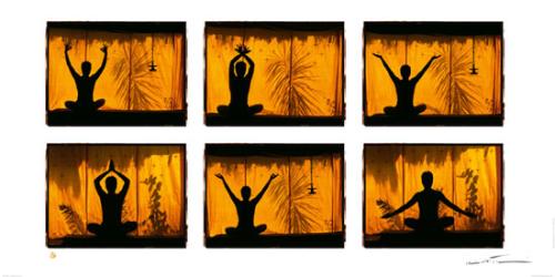 Positions de Yoga by Oliver Follmi