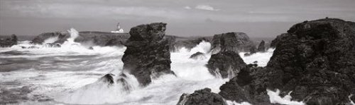 Un autre regard sur les Poulains noir amp blanc by Guillaume Plisson
