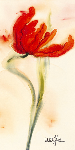 Tulipe I by Marthe