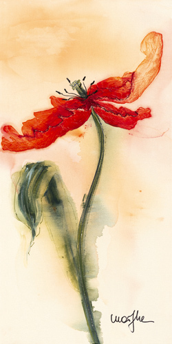 Tulipe II by Marthe