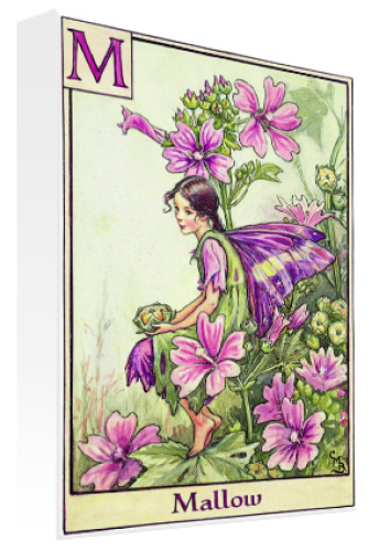 April Mallow Fairy by Flower Fairies