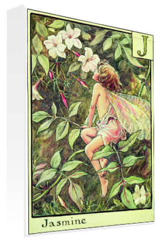 August Jasmine Fairy by Flower Fairies