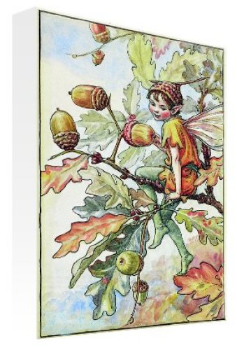 October Acorn Fairy by Flower Fairies