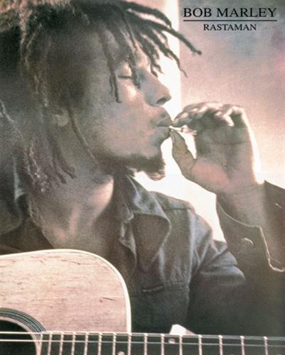 Bob Marley Rastaman by Mini Posters