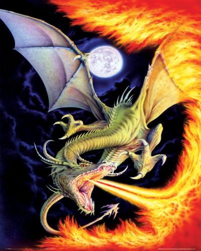 Fire Dragon by Mini Posters