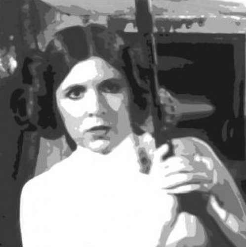 Star Wars Leia by Celebrity Image