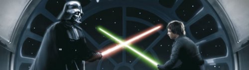 Star Wars Vader vs Luke by Celebrity Image