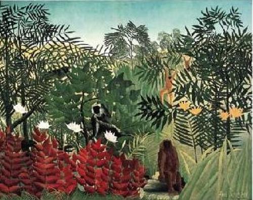 Tropical Jungle