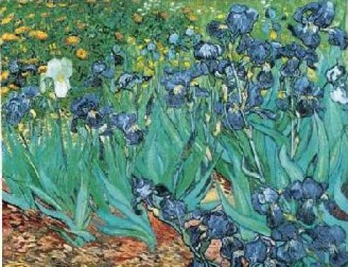 Impressionism Van Gogh. £29.31 TO £29.31. Irises in