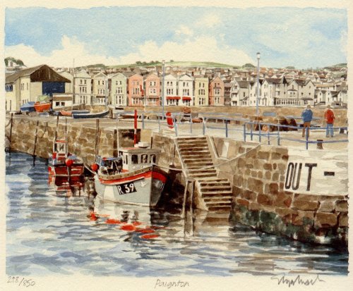 Paignton Harbour by Glyn Martin