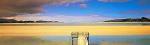 Peter Adams art print