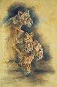 Victoria MacDermott art print
