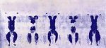 Yves Klein art print
