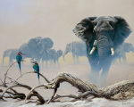 Spencer Hodge art print