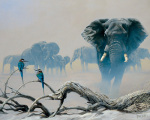 Spencer Hodge art print