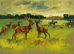 Lionel Edwards art print