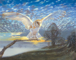 John Cooksley art print