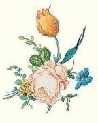 Lina Meyer art print