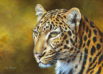 Kim Thompson art print