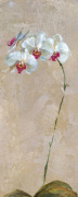Dennis Carney art print