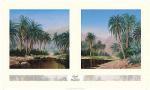 Cool and Peaceful art print