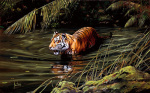 Spencer Hodge art print