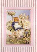Caroline Formby art print