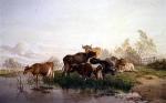 Thomas Cooper art print