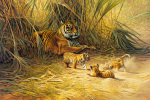 Cub scouts art print
