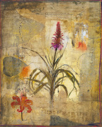 John Douglas art print
